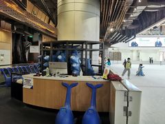 -TheRink大零溜冰场(IFS国金中心店)