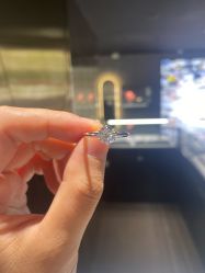 -VE DIAMOND·天然&培育钻石定制