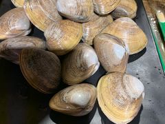 -绫罗岛海鲜私房菜(鸭绿江边店)