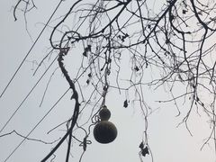 -姥家大锅台水库渔家