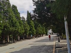 -东北大学(南湖校区)