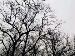 -万泉公园
