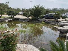 -无忧学车·华茂驾校(宝山校区)