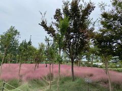 -嘉北郊野公园
