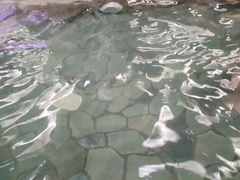 -南宫温泉水世界