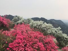 -木兰云雾山