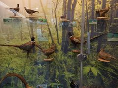 -下渚湖国家湿地公园科普馆