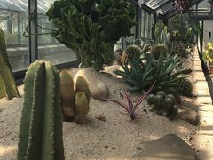-杭州植物园