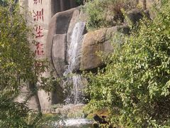 -新洲生态园