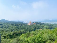 -磬锤峰森林公园