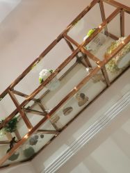 -MIDA蜜哒•科技逆龄美肤连锁