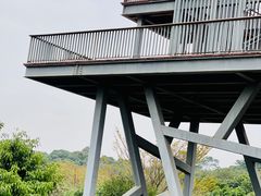-立新湖公园
