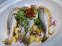 -索菲亚时尚餐厅(集贤美食广场店)