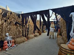 -厦门方特梦幻王国