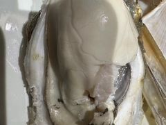 -77号·蒸海鲜青岛菜(积米崖店)