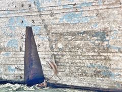 -风车面包