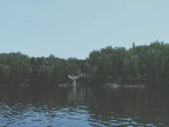 -西安汉城湖景区