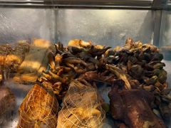 -一手店(五道口店)