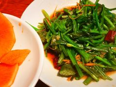 -菌自由丨野生菌火锅特色庭院餐厅(丽江古城店)