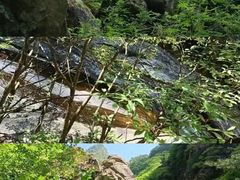 -朱雀国家森林公园