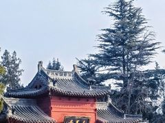 -洛阳白马寺