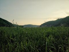 -南泥湾风景区