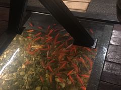 -颐和•海鲜砂锅粥•啫啫煲(奥林匹克广场店)