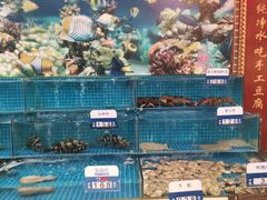 水产区-聚宝渔港.五钻酒家(上地店)