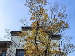 -老门东历史文化街区