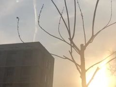 -S Team剧情密室(杭州龙翔桥店)