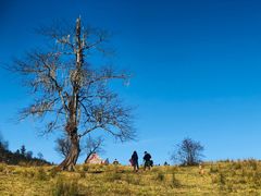 -硗碛藏寨·神木垒景区