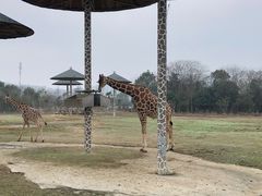 -宁波野生动物园