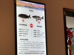 -全乐鱼馆·淳牌有机鱼直营店