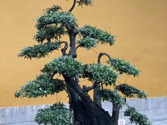-杭州上天竺法喜讲寺
