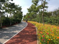 -上海长兴岛郊野公园