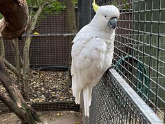 -费瑟代尔野生动物园