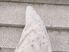 -永红源啤酒·烧烤·海鲜·大排档(青特城店)