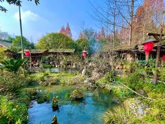 -青城甲(青城山店)