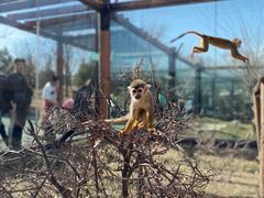 -济南野生动物世界