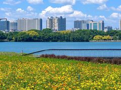 -海珠湖公园