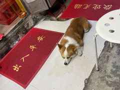 -小梁哥云吞面(黄贝岭店)