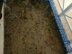 大堂-雅逸居海鲜小厨