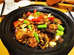 -红果树(江光店)