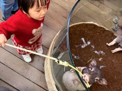 -正佳雨林生态植物园