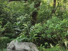 -法云安缦酒店