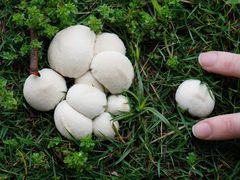 -洋湖国家湿地公园