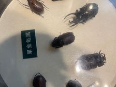 -陕西自然博物馆