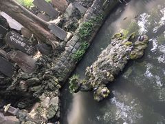 -成田山新胜寺