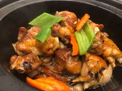 姜葱豆豉鸡煲-香港富临皇宫(五月花商业广场店)