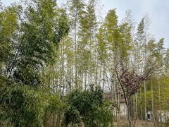 -善卷洞风景区